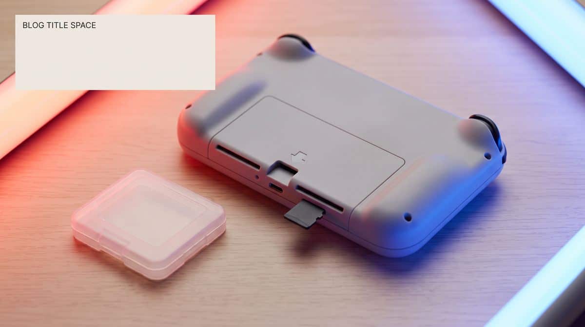 Switch microSD